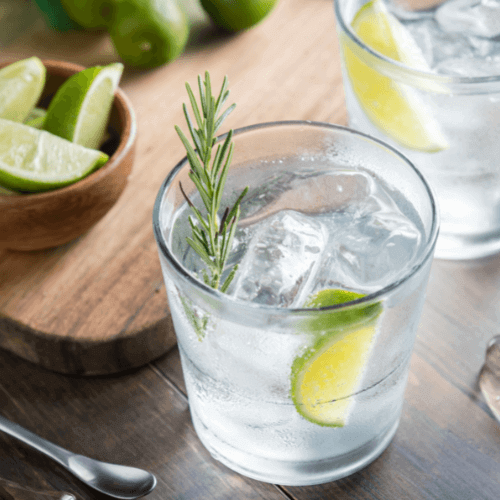 Elderflower Gin and Tonic Recipe