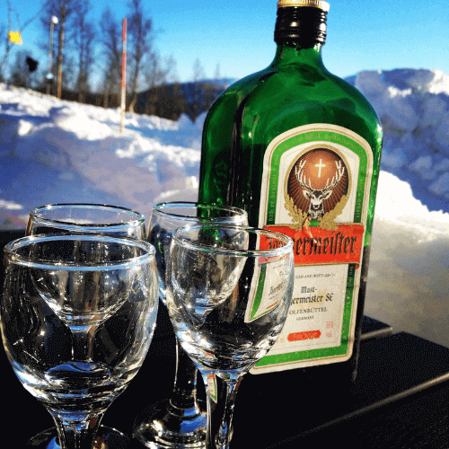How to Drink Jagermeister