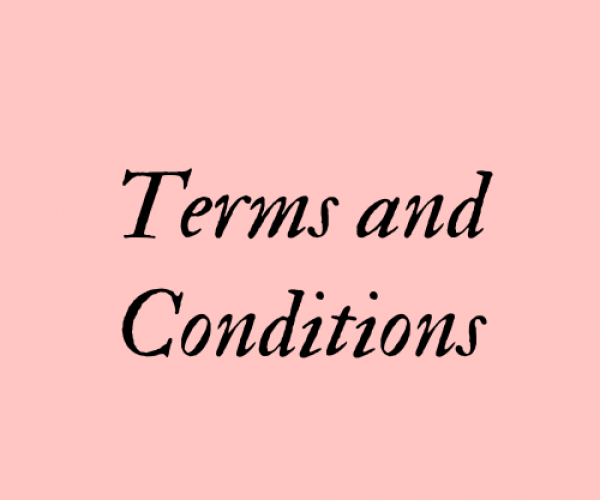Terms and Conditions (2